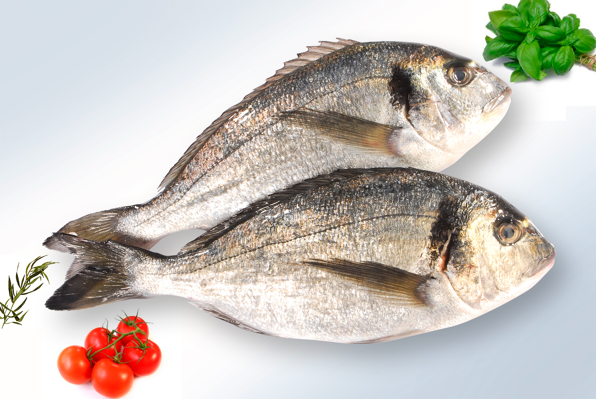 recette chinchard au barbecue recette chinchard au barbecue