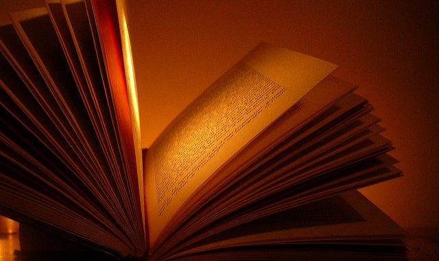 livre_photo de madoviviani