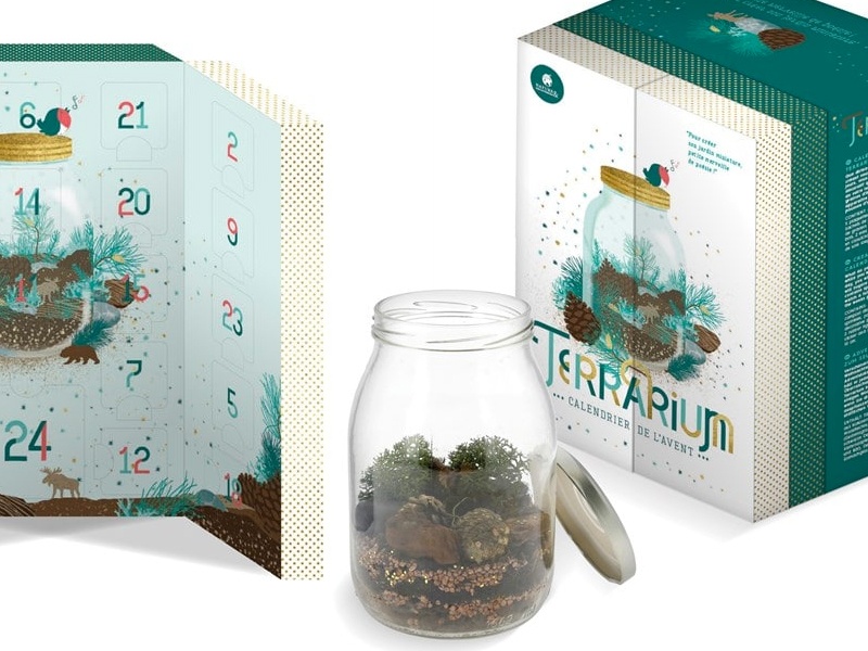 calendrier-avent-terrarium