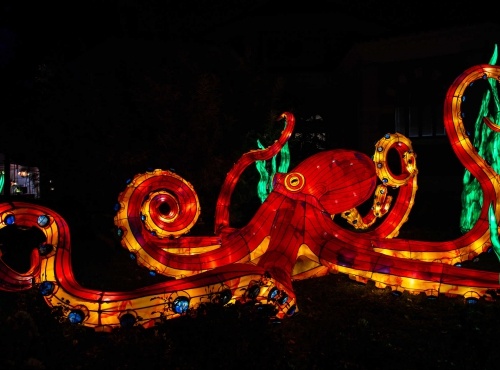 paris ocean voie illuminations - Metropolitaine