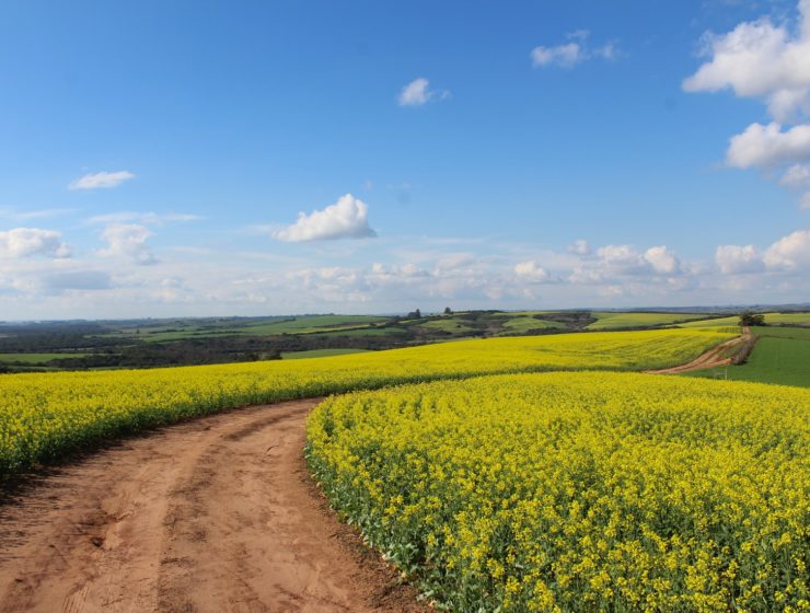 comptoir-de-campagne