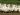 grippe aviaire