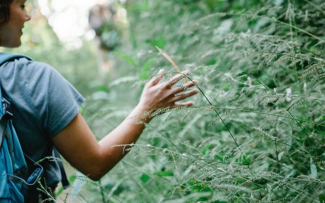 forestières carrière hors des sentiers battus